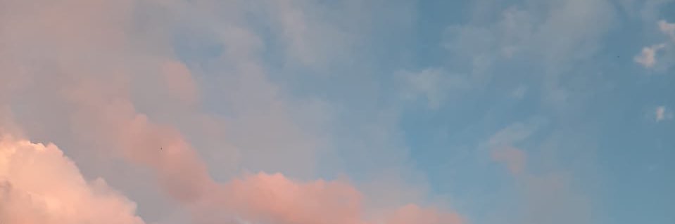siti raudhoh banner