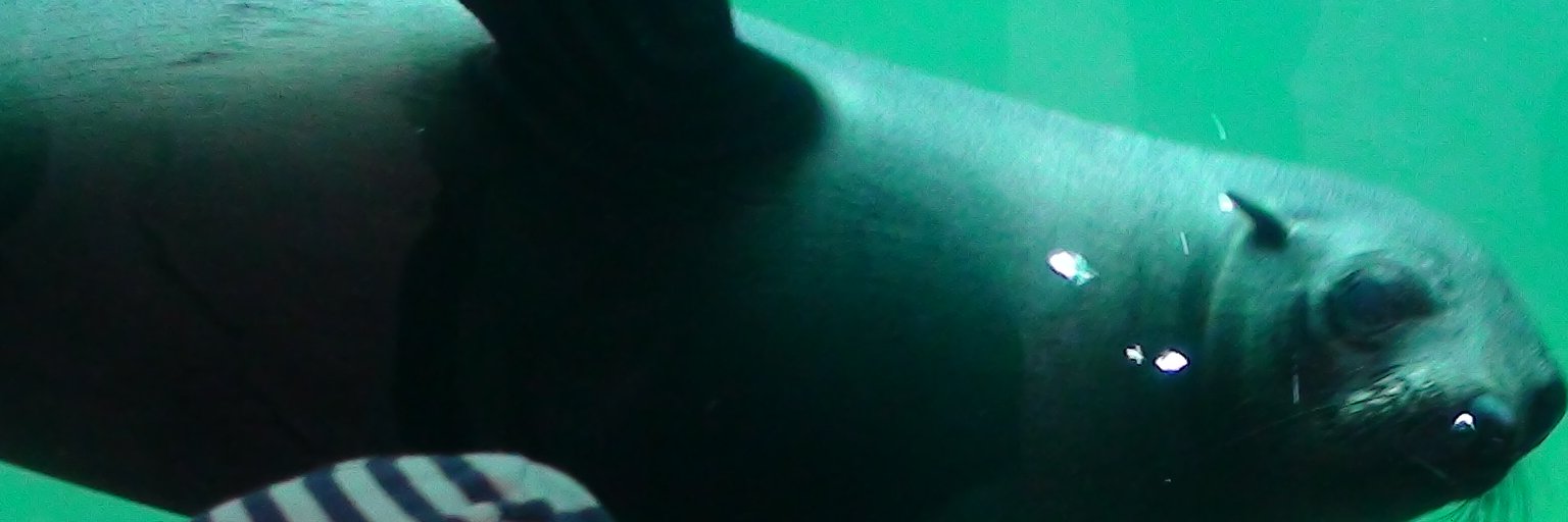 thomasduhr's profile banner image