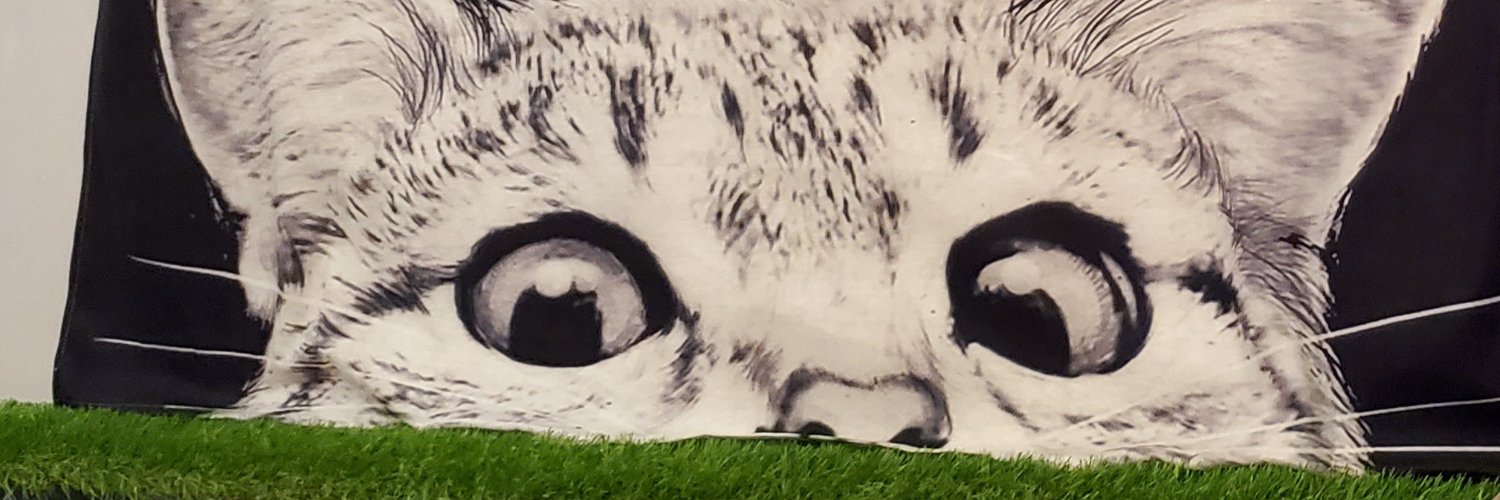 Shirley Zhao's banner