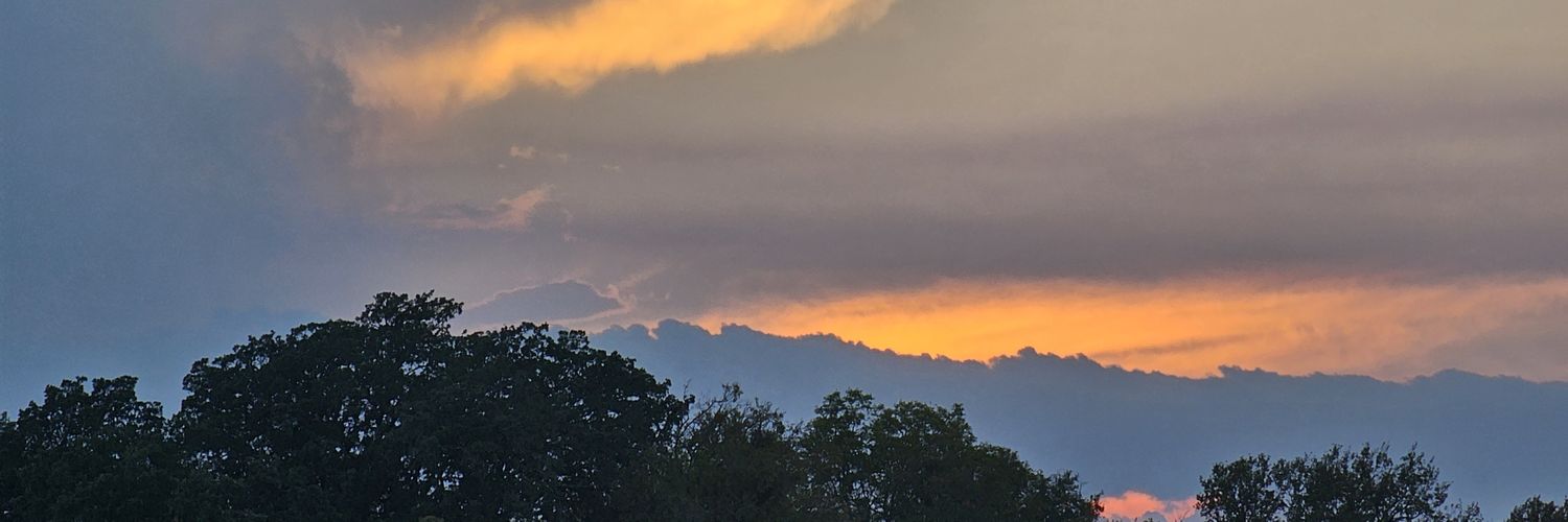 TexTerri's profile banner image