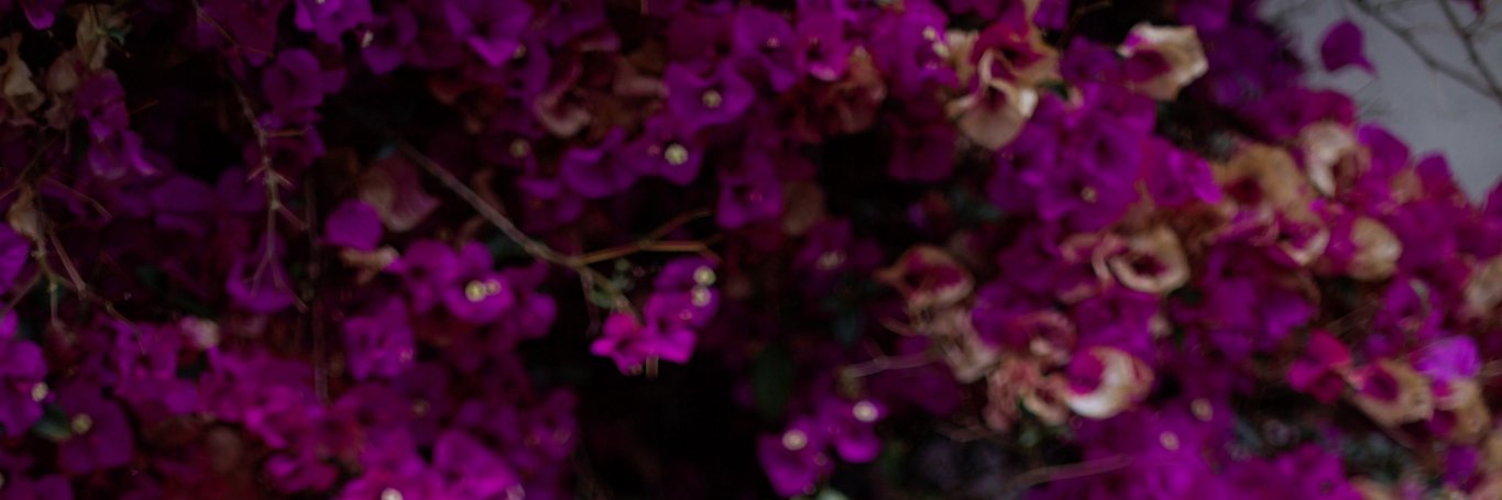 _era's profile banner image