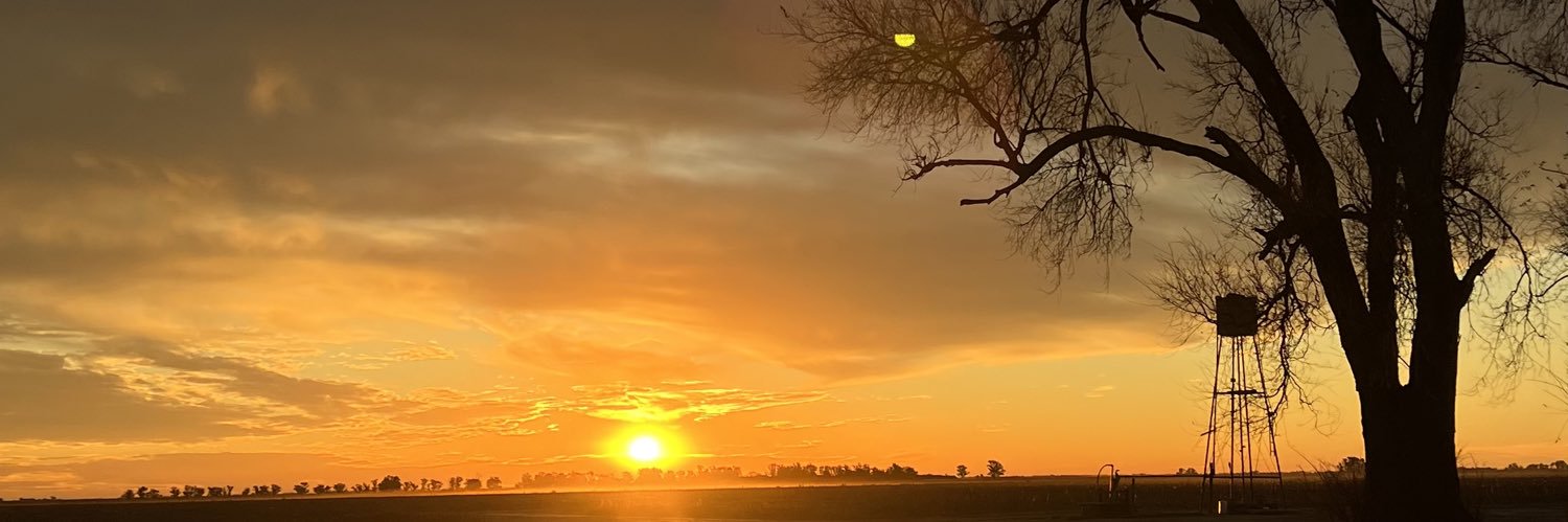 Delficingolani2's profile banner image