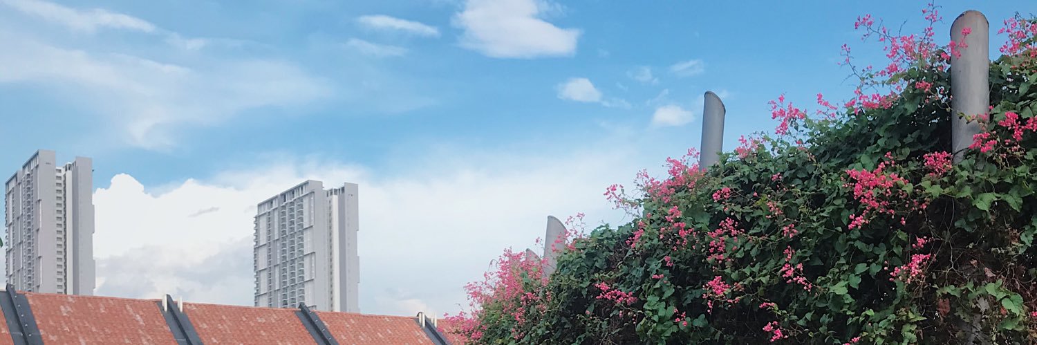 nshreeq's profile banner image