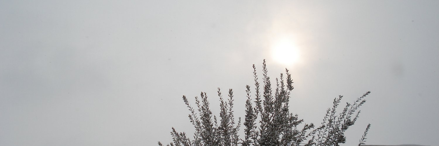 تلخون banner