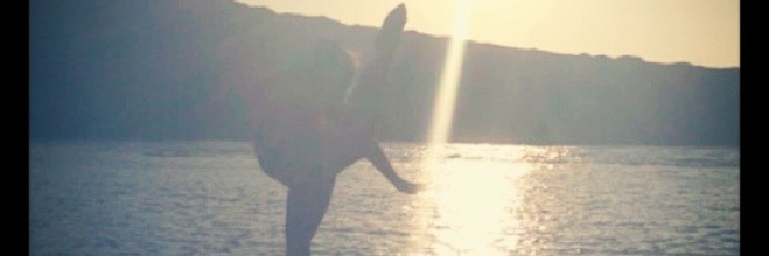 KayyG143's profile banner image