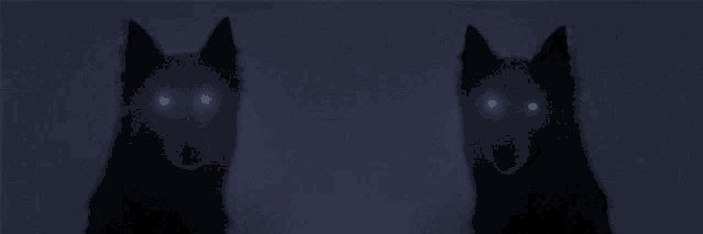 LasherAtl's profile banner image