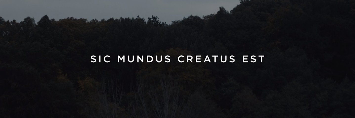 yshigdanes's profile banner image