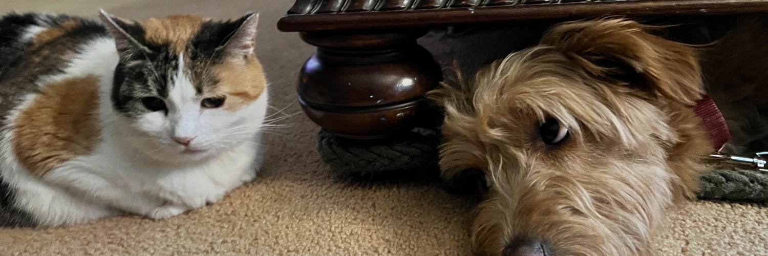 TheKeswickBlog's profile banner image