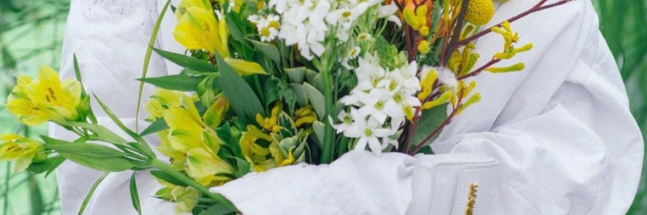Michael Border banner