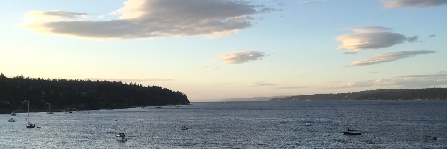 ChaseDub12's profile banner image