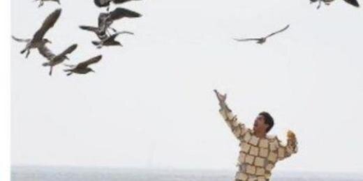 roberthiggins8's profile banner image