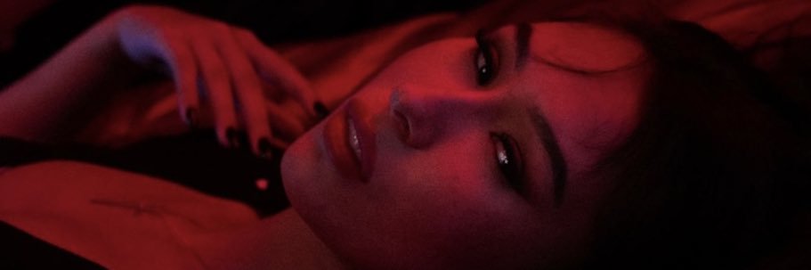 Lana banner