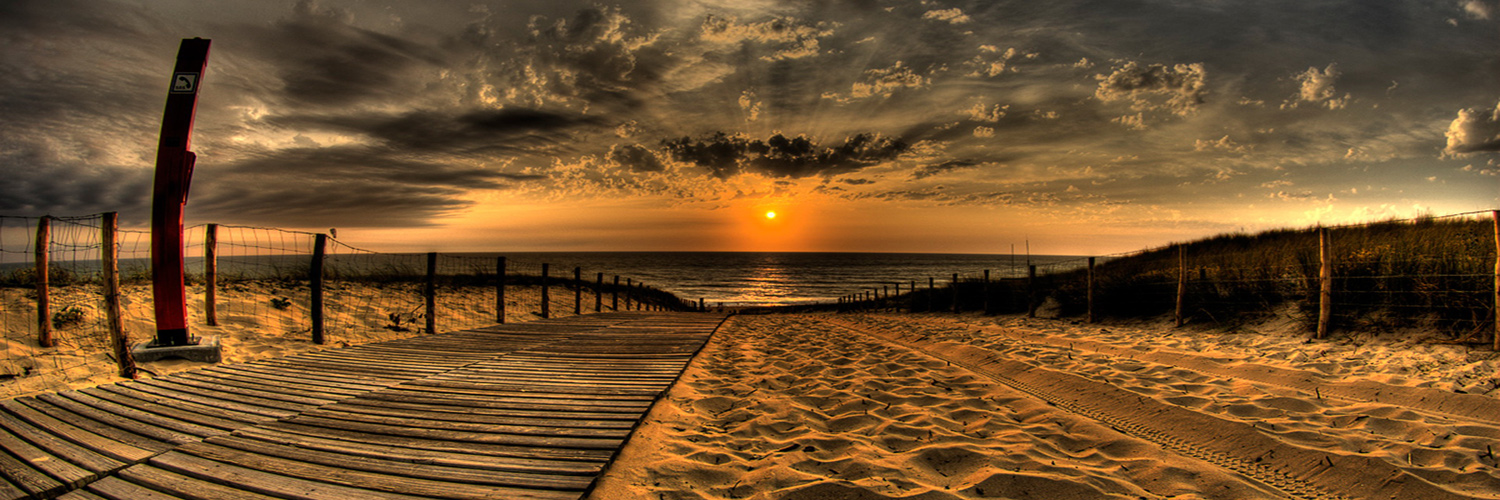 AI Tech and Invest banner