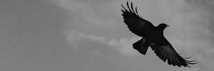 MuzafferAlann's profile banner image