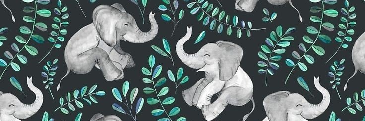 elfinadia's profile banner image