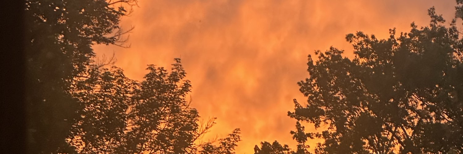 Ashleebee15's profile banner image