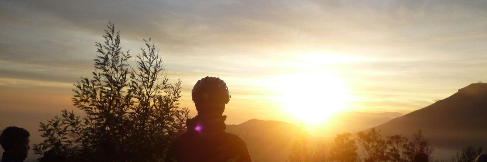 gowesnegeri's profile banner image