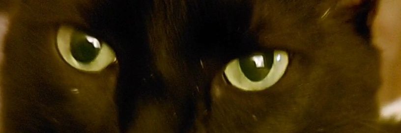 nikitara20's profile banner image