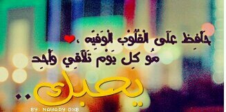 alshbah273's profile banner image