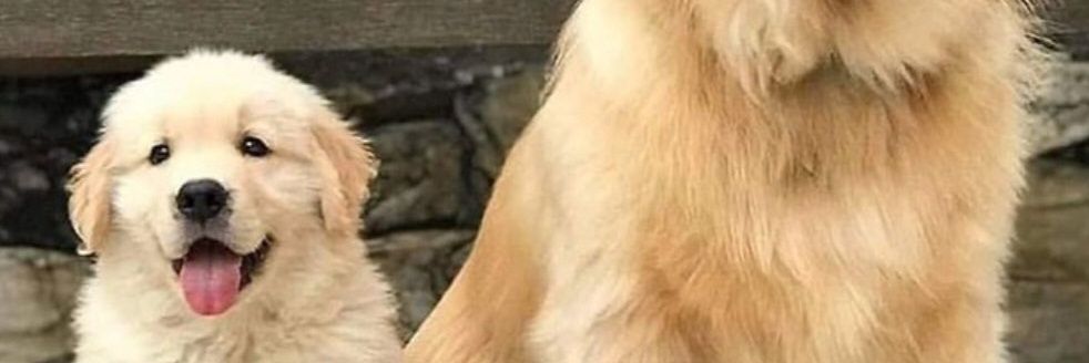 djnormal1's profile banner image