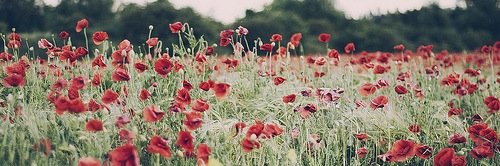 KelliAnn253's profile banner image
