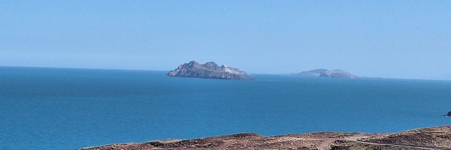 Alberto Llorens banner