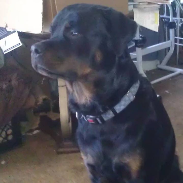 George Clanton banner