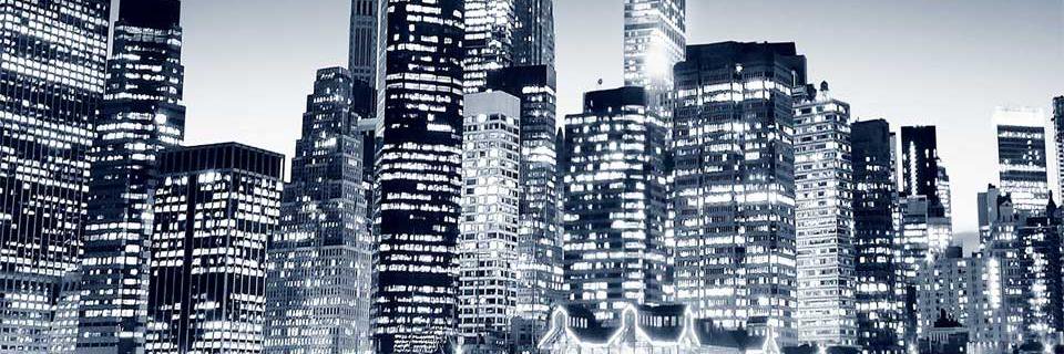 SJRIH1's profile banner image