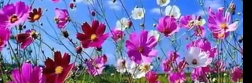 ChurchCrystal's profile banner image