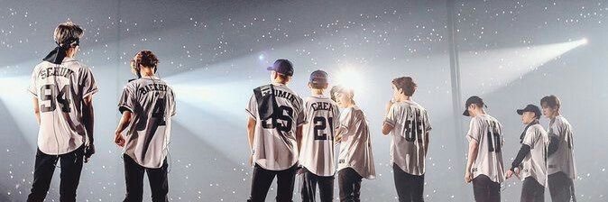 qtploymuffin's profile banner image