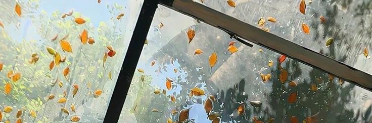 itchybays's profile banner image
