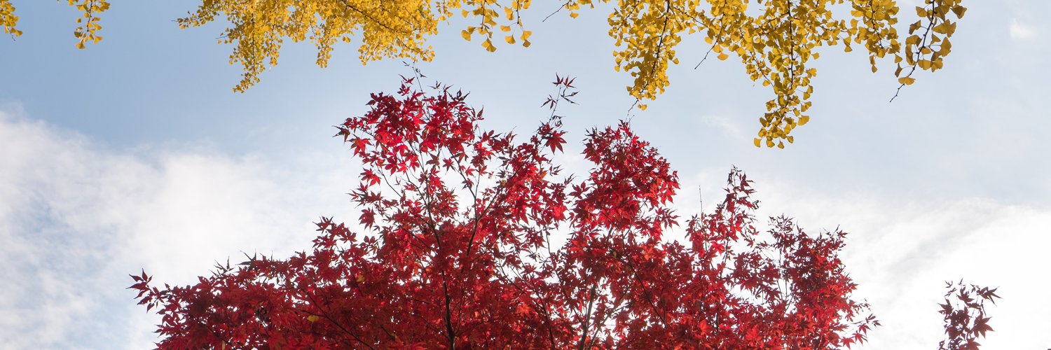 forsisttech's profile banner image