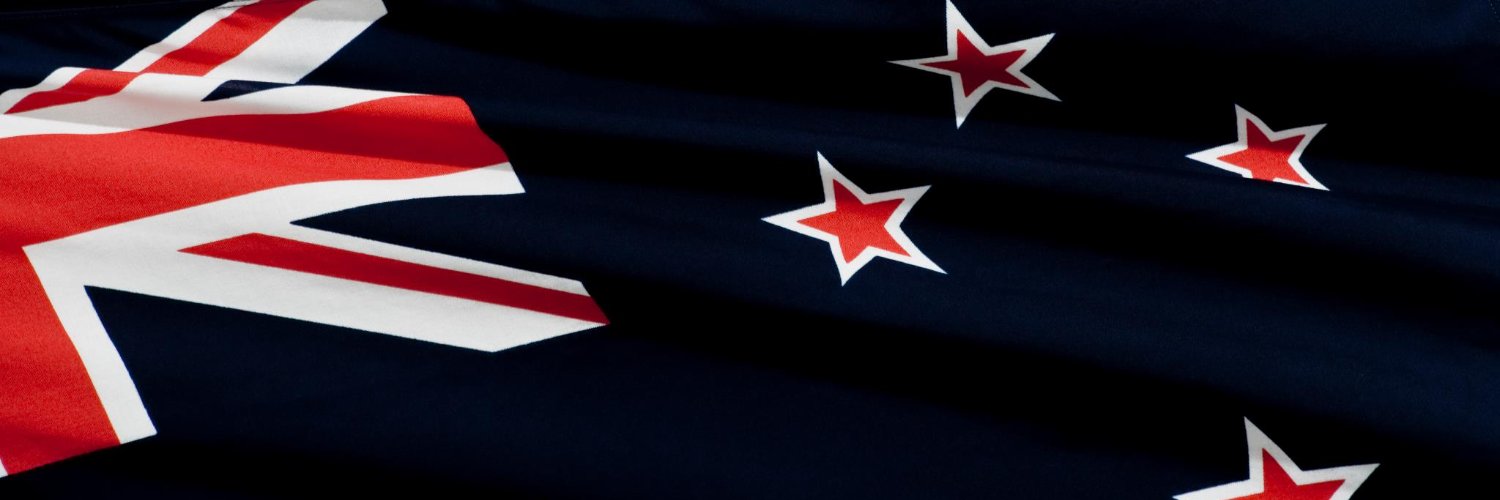The_Silver_Fox's profile banner image