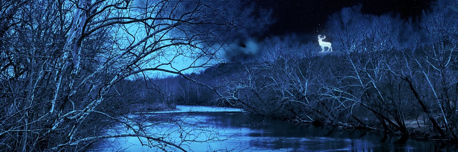MVAmick's profile banner image