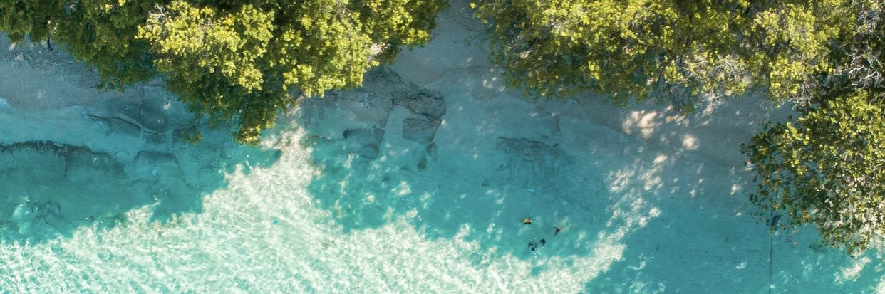 𝐋𝐚𝐮𝐫𝐚 𝐍𝐞𝐚𝐬𝐡𝐚𝐦 banner