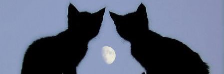iheartthemoon's profile banner image