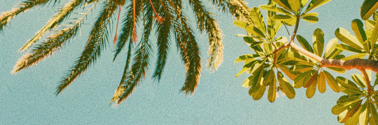 lesliednat's profile banner image