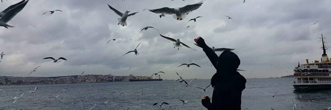 SalihAmany's profile banner image