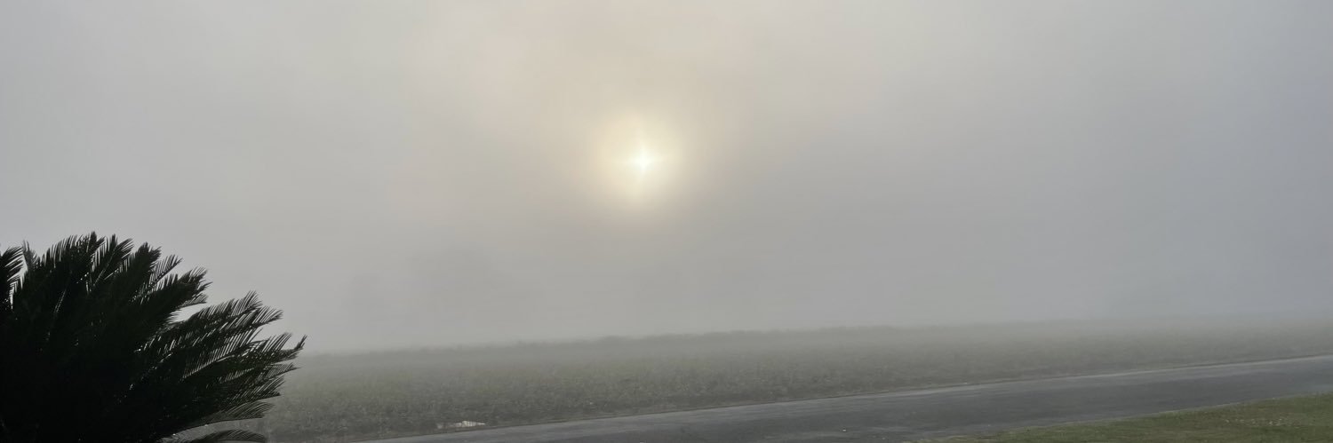 AnthroDemon95's profile banner image