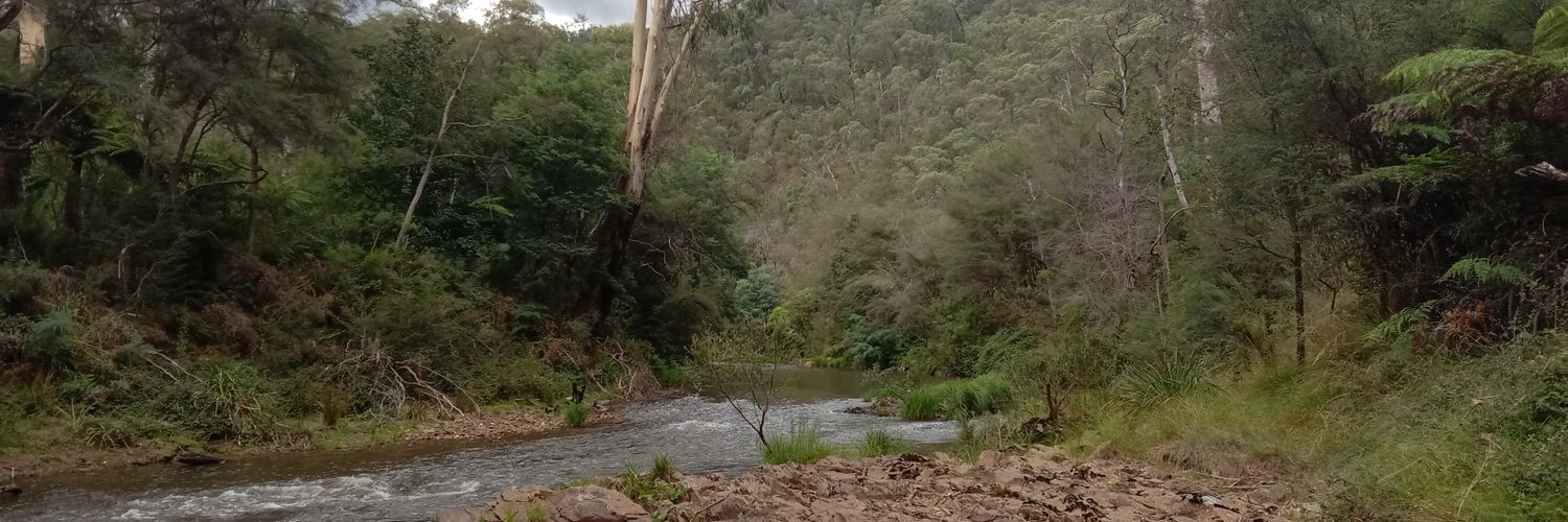 andrewmortlock's profile banner image