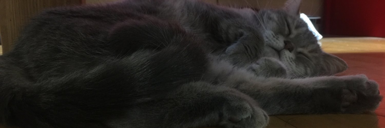 pttyboy's profile banner image