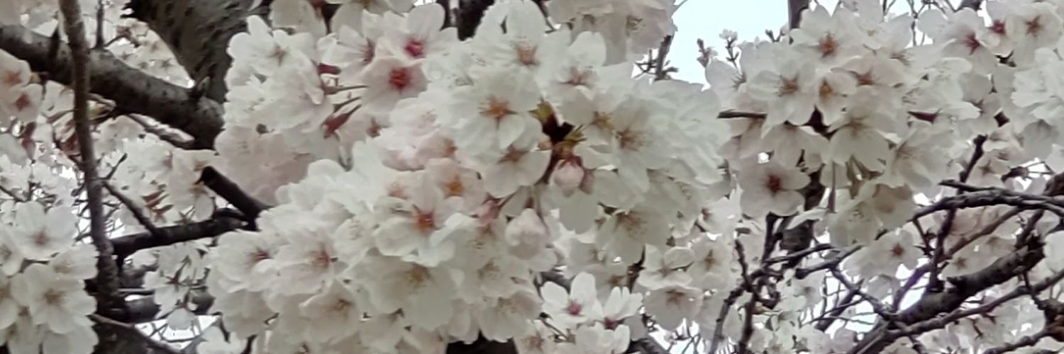 瀬田 真緒（まそほ） banner