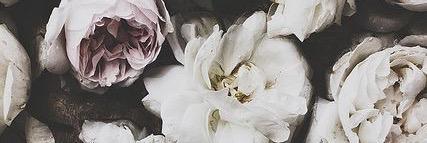 dwitakusnadi's profile banner image