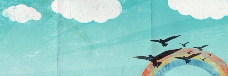 birdsflyover's profile banner image