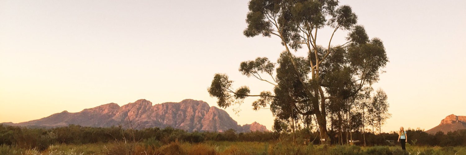 ThePerfectBase's profile banner image