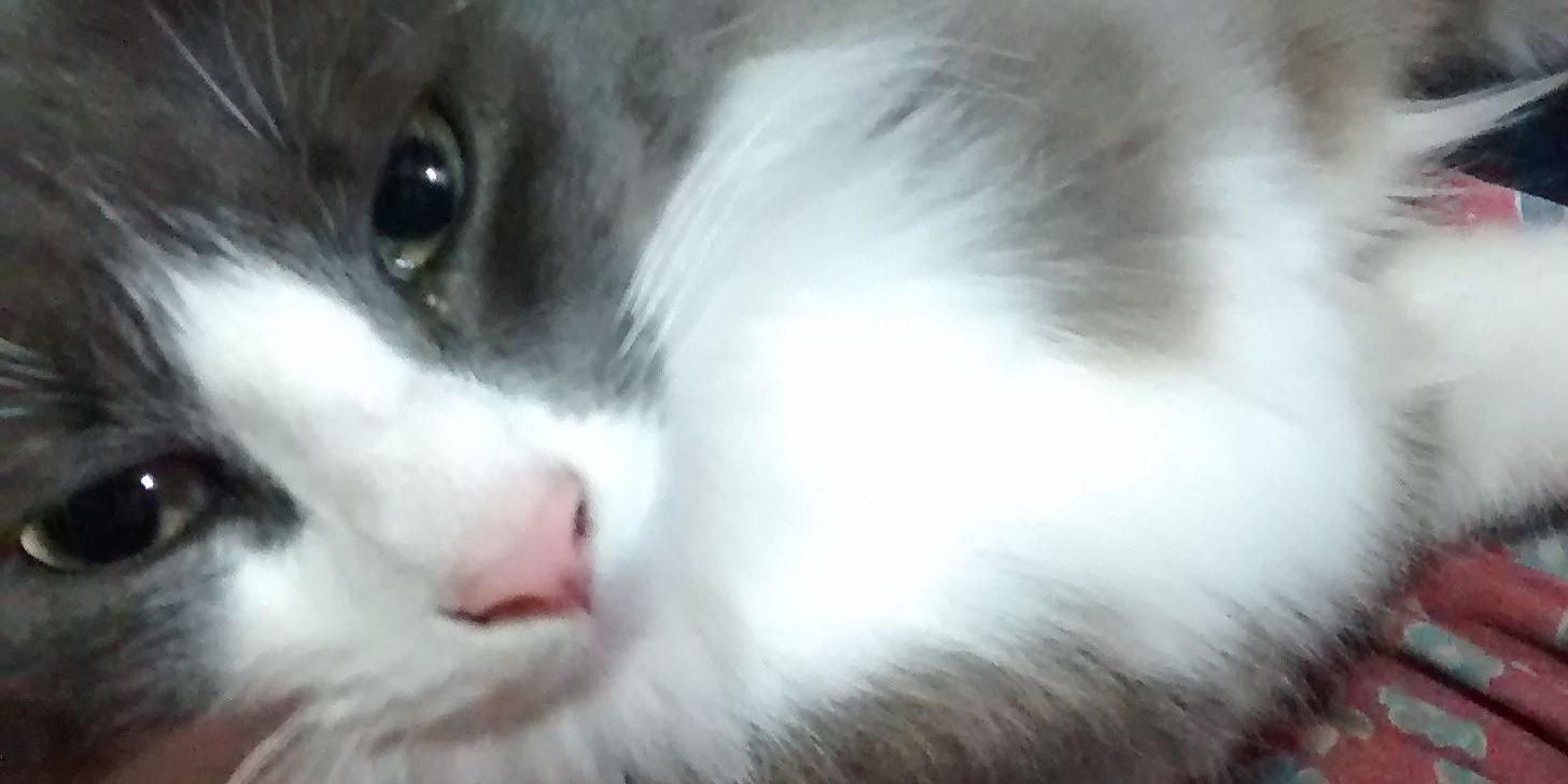 Ara_Hell's profile banner image
