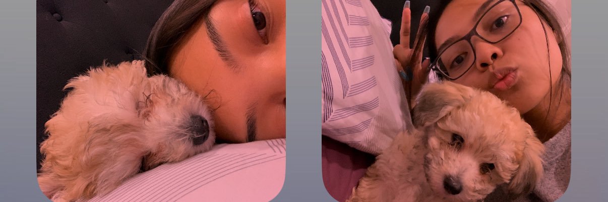 nixcb's profile banner image