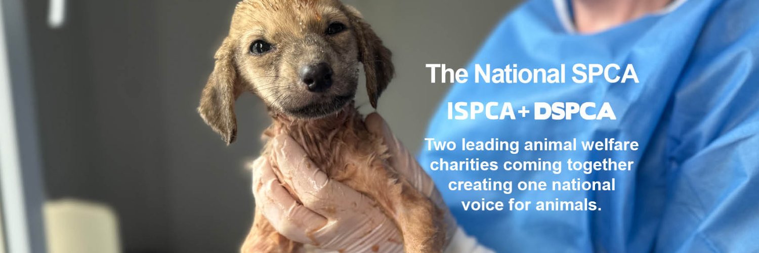 NSPCA Longford banner