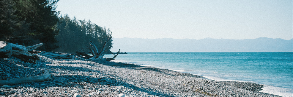 OysterPromo's profile banner image
