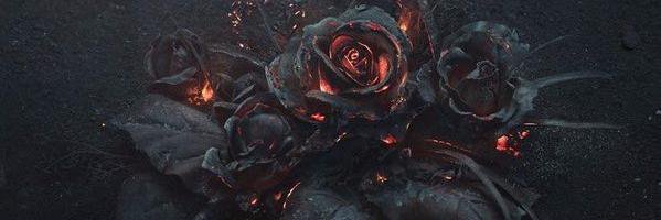 princesspunker's profile banner image